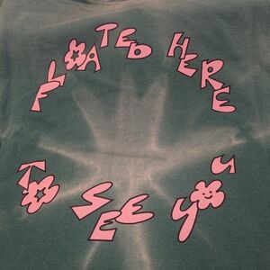 Graphic Green Hoodie With Floating Butterfly And Pink Writing On Back